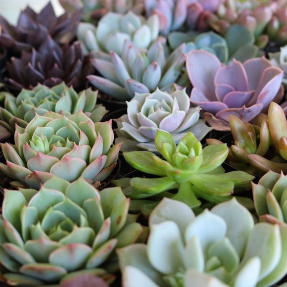 Meet your Posher! - Picture 1 of 1